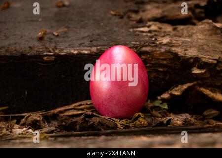 Le uova rosse dipinte di pollo si stendono su un vecchio tavolo per strada, durante la festa di Pasqua Foto Stock