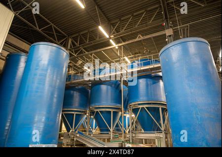 Attrezzature per la lavorazione di ortaggi freschi dopo la raccolta, lo stoccaggio, la cernita, il lavaggio, il taglio, imballaggio, agricoltura nei Paesi Bassi Foto Stock