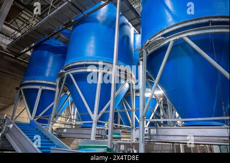 Attrezzature per la lavorazione di ortaggi freschi dopo la raccolta, lo stoccaggio, la cernita, il lavaggio, il taglio, imballaggio, agricoltura nei Paesi Bassi Foto Stock