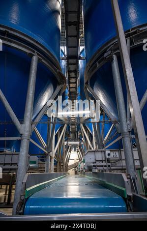 Attrezzature per la lavorazione di ortaggi freschi dopo la raccolta, lo stoccaggio, la cernita, il lavaggio, il taglio, imballaggio, agricoltura nei Paesi Bassi Foto Stock