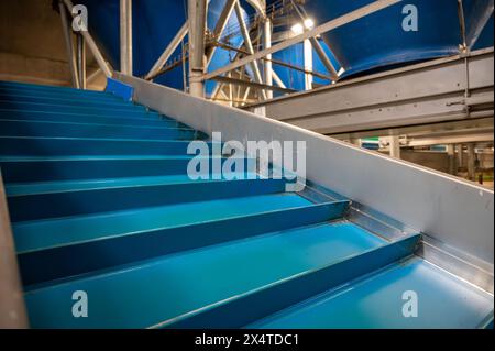 Attrezzature per la lavorazione di ortaggi freschi dopo la raccolta, lo stoccaggio, la cernita, il lavaggio, il taglio, imballaggio, agricoltura nei Paesi Bassi Foto Stock