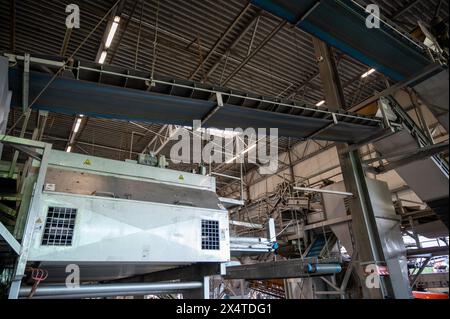 Attrezzature per la lavorazione di ortaggi freschi dopo la raccolta, lo stoccaggio, la cernita, il lavaggio, il taglio, imballaggio, agricoltura nei Paesi Bassi Foto Stock