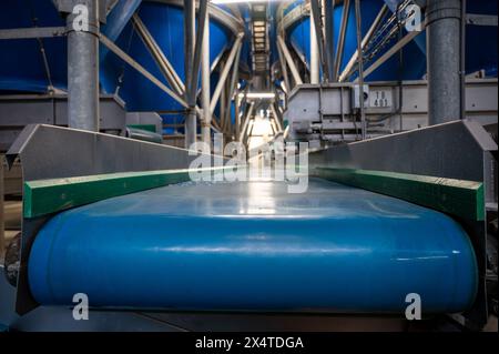 Attrezzature per la lavorazione di ortaggi freschi dopo la raccolta, lo stoccaggio, la cernita, il lavaggio, il taglio, imballaggio, agricoltura nei Paesi Bassi Foto Stock