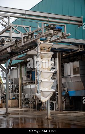 Attrezzature per la lavorazione di ortaggi freschi dopo la raccolta, lo stoccaggio, la cernita, il lavaggio, il taglio, imballaggio, agricoltura nei Paesi Bassi Foto Stock