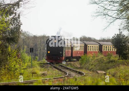 Harzer Schmalspurbahn Eine Dampflok der Harzer Schmalspurbahnen zieht am 30. Aprile 2024 einen Personenzug der Harzquerbahn von Drei Annen Hohne in Richtung Elend durch den Harz. Harz Sachsen-Anhalt Deutschland 20240101- MG 0271 *** Harzer Schmalspurbahn Una locomotiva a vapore della Harzer Schmalspurbahnen tira un treno passeggeri della Harzquerbahn da Drei Annen Hohne verso Elend attraverso i monti Harz Harz Sassonia Anhalt Germania 20240101 MG 0271 il 30 aprile 2024 Foto Stock