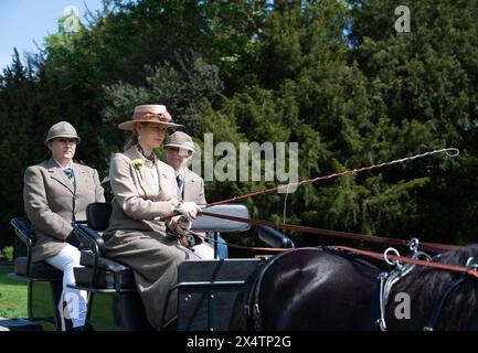 Windsor, Berkshire, Regno Unito. 5 maggio 2024. Lady Louise Mountbatten-Windsor, figlia del duca e della duchessa di Edimburgo, guida la sua carrozza lungo la lunga passeggiata nel Pol Roger Meet della British Driving Society che fa parte del Royal Windsor Horse Show al Castello di Windsor, Berkshire. Crediti: Maureen McLean/Alamy Live News Foto Stock