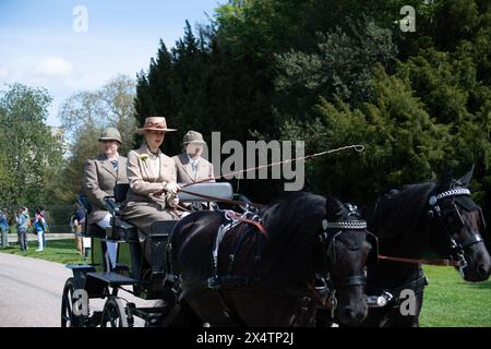 Windsor, Berkshire, Regno Unito. 5 maggio 2024. Lady Louise Mountbatten-Windsor, figlia del duca e della duchessa di Edimburgo, guida la sua carrozza lungo la lunga passeggiata nel Pol Roger Meet della British Driving Society che fa parte del Royal Windsor Horse Show al Castello di Windsor, Berkshire. Crediti: Maureen McLean/Alamy Live News Foto Stock