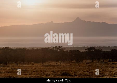 L'alba rompe la nebbiosa Ol Pejeta con il Monte Kenya Foto Stock