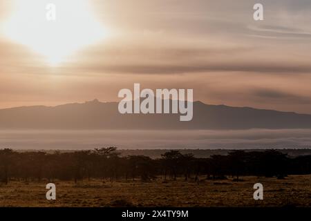 L'alba rompe la nebbiosa Ol Pejeta con il Monte Kenya Foto Stock