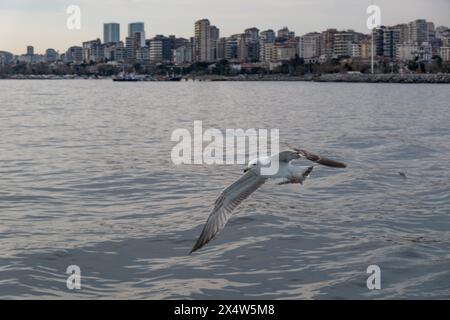 Immortalato la bellezza mozzafiato della storica penisola di Istanbul, 2024 Foto Stock