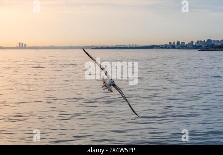 Immortalato la bellezza mozzafiato della storica penisola di Istanbul, 2024 Foto Stock