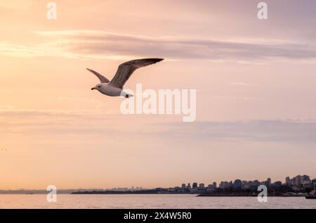 Immortalato la bellezza mozzafiato della storica penisola di Istanbul, 2024 Foto Stock