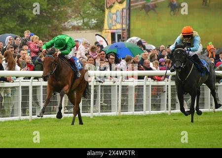 Salisbury, Regno Unito. 5 maggio 2024. Running Queen, guidata da Cieren Fallon (Green Cap), vince la Kingsclere Stud Fillies 'Conditions Stakes 2,40 davanti a Betty Clover, guidata da Georgia Dobie, all'ippodromo di Salisbury, Regno Unito. Crediti: Paul Blake/Alamy Live News. Foto Stock