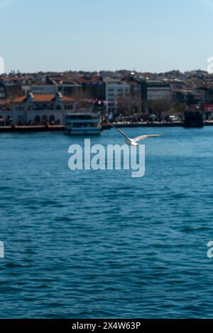 Immortalato la bellezza mozzafiato della storica penisola di Istanbul, 2024 Foto Stock