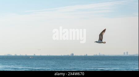 Immortalato la bellezza mozzafiato della storica penisola di Istanbul, 2024 Foto Stock