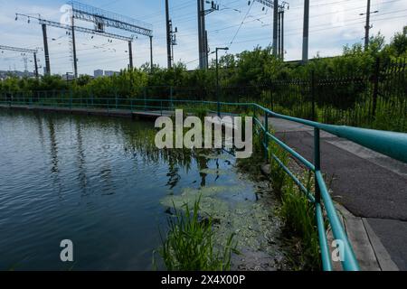 Via d'acqua nel parco. Un sentiero lungo il lago con corrimano di sicurezza. Alghe sull'acqua Foto Stock