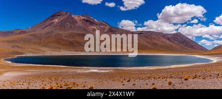 Un'immagine panoramica di Laguna Miniques, riserva nazionale di Los Flamencos, regione di Antofagasta, Cile. Foto Stock