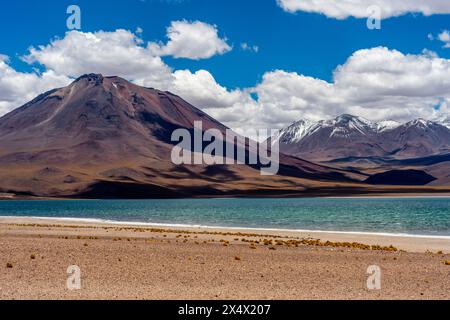 Vista della Laguna Miscanti, della riserva nazionale di Los Flamencos, della regione di Antofagasta, Cile. Foto Stock