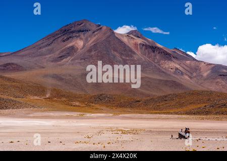 Un gruppo di turisti nella riserva nazionale Los Flamencos, regione di Antofagasta, Cile. Foto Stock