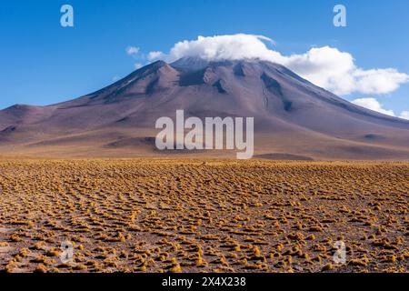 Tipico paesaggio cileno dell'Altiplano vicino a San Pedro de Atacama, Cile. Foto Stock