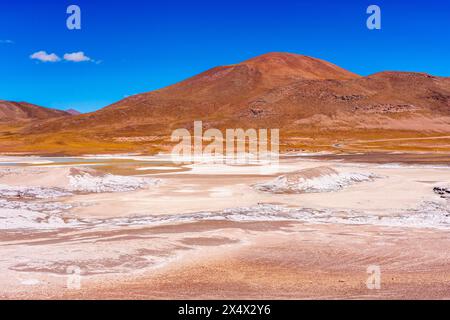 Salar de Aguas Calientes (saline), vicino a San Pedro de Atacama, Cile. Foto Stock