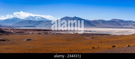 Un'immagine panoramica del Salar de Aguas Calientes, vicino a San Pedro de Atacama, Cile. Foto Stock