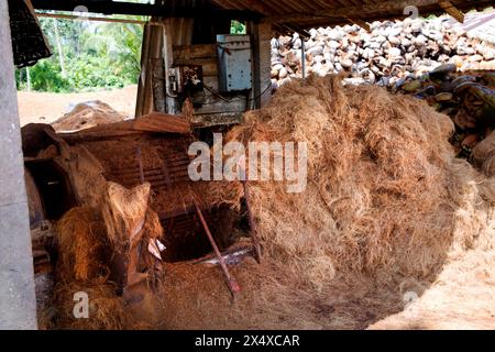 Kalutara, Sri Lanka 09 febbraio 2023.fabbricazione di corde di cocco con processo tradizionale.piccola manifattura privata per la produzione di corde di cocco Foto Stock