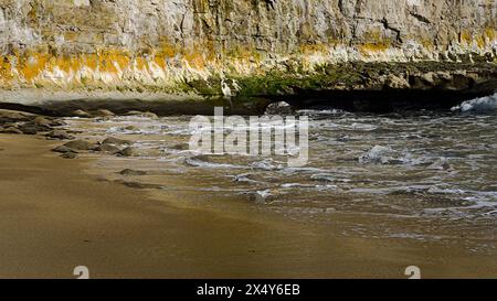 Three Mile Beach, California, Stati Uniti Foto Stock