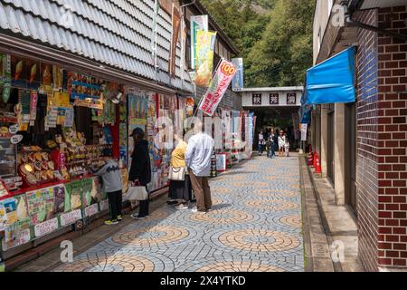 Ingresso alla grotta di Akiyoshido. Parco quasi nazionale di Akiyoshidai. Yamaguchi, Giappone. Foto Stock