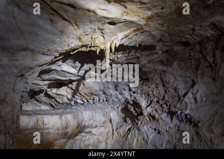 Grotta di Akiyoshido. Una grotta soluzionale all'interno del quasi-parco nazionale di Akiyoshidai, Yamaguchi, Giappone. Foto Stock