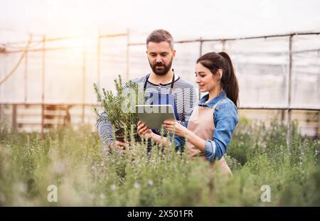 Piccola impresa di serra. Giardinieri che guardano l'ordine in tablet, preparano fiori e piantine per il cliente. Foto Stock