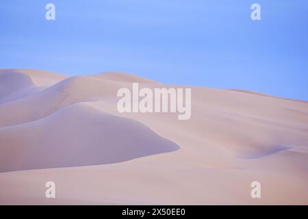 Dune di sabbia nel deserto del Gobi sotto un cielo blu, la Mongolia Foto Stock
