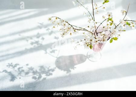 Vista dall'alto di un vaso pieno di un bouquet di gambi di ciliegio in piena fioritura Foto Stock