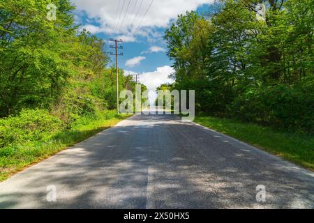 Strada asfaltata tra fitti alberi verdi verso il mare Foto Stock
