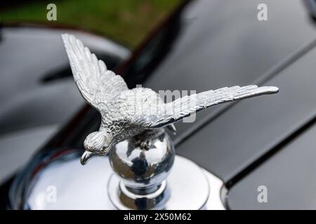 Mascotte Riley. Llandudno Transport Festival 2024. Foto Stock