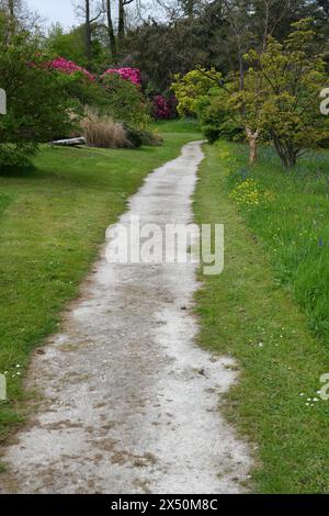 Passeggiata nel parco di Rhododendron Foto Stock