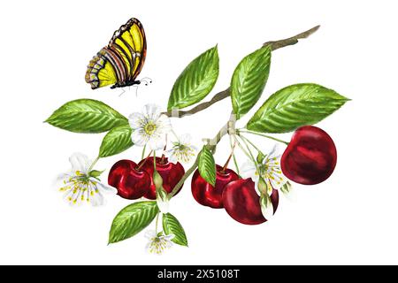 Acquerello raffigurante un ramo di ciliegio e una farfalla, su un ramo ci sono ciliegie mature e succose, fiori e foglie verdi. Ciliegia disegnata a mano Foto Stock