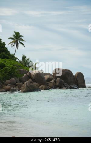 Pietre di granito e alberi vicino alla spiaggia di sabbia bianca di anse Forbans, mare calmo, Mahe Seychelles Foto Stock