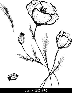 disegnare fiori. clip-art o illustrazione a forma di fiore papavero Illustrazione Vettoriale