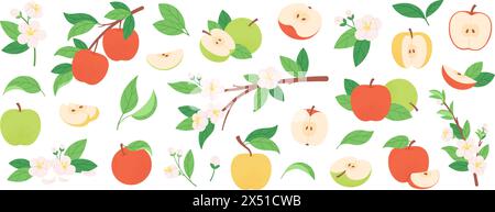 Frutta e fiori di mela. Mele da giardino intere e tagliate a fette. Splendidi rami in fiore con foglie e fiori. Frutta fresca, racy vector clipart Illustrazione Vettoriale