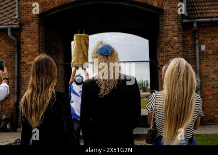 I partecipanti saranno al Birkenau Camp Gate nel marzo 2024, con 55 sopravvissuti all'olocausto che parteciperanno, il 6 maggio 2024 a o?wi?cim, Polonia. I sopravvissuti all'Olocausto e i sopravvissuti del 7 ottobre partecipano alla marcia dei vivi insieme ad una delegazione di Stati Uniti, Canada, Italia, Regno Unito. Durante il Memorial Day dell'Olocausto osservato nel calendario ebraico (Yom HaShoah), migliaia di partecipanti marciano silenziosamente da Auschwitz a Birkenau. La marcia ha uno scopo educativo e commemorativo. Quest'anno marzo è stato altamente politicizzato a causa della guerra israeliana nella P occupata Foto Stock