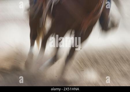 Primi piani di gambe di cavallo mentre i piloti si preparano alla competizione. Foto Stock