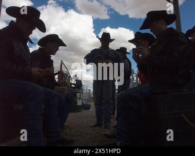 I piloti si preparano alla gara di Bull riding Foto Stock