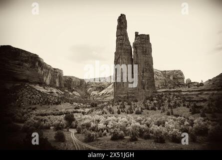 Spider Rock nel Canyon de Chelly, Arizona Foto Stock