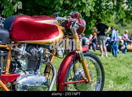 Earsham, Norfolk, Regno Unito – 5 maggio 2024. Lato della vista di un'auto da corsa Ducati Cafe in mostra al pubblico in una piccola mostra motociclistica Foto Stock