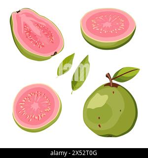 Set di guava verde e fette rosa succose e sane isolate su sfondo bianco. Illustrazione di frutta tropicale a fette vettoriali in stile piatto. cli estivo Illustrazione Vettoriale