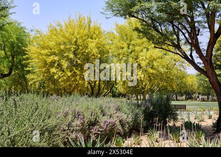 Rancho Mirage, California, Stati Uniti. 5 maggio 2024. I terreni e i giardini con più di 70 specie di piante aride adattate a Sunnylands. (Credit Image: © Ian L. Sitren/ZUMA Press Wire) SOLO PER USO EDITORIALE! Non per USO commerciale! Foto Stock