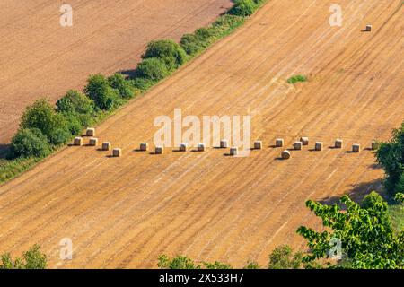 Balle di paglia in fila in un campo dopo il raccolto in una vista ad angolo alto Foto Stock