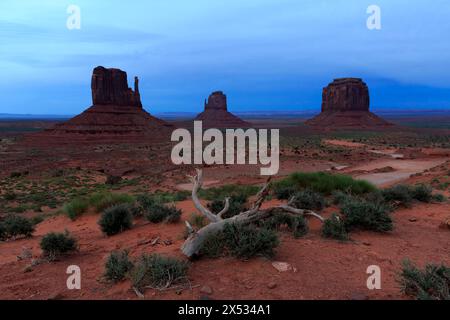 Le formazioni rocciose del deserto si innalzano maestosamente nell'ora blu sotto un ampio cielo, Monument Valley, West Mitten Lefteye Flounder, East Mitten Foto Stock