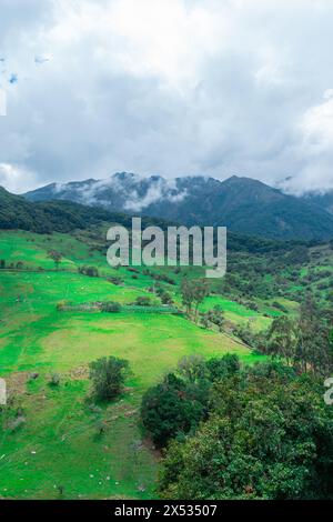 PAESAGGIO BOSCOSO DI WATERLAND IN COLOMBIA CON COLTURE NELLA PARTE INFERIORE DELLA MONTAGNA E FITTA NEBBIA CHE COPRE LA PARTE PIÙ ALTA DELLA FORESTA DI QUERCE Foto Stock